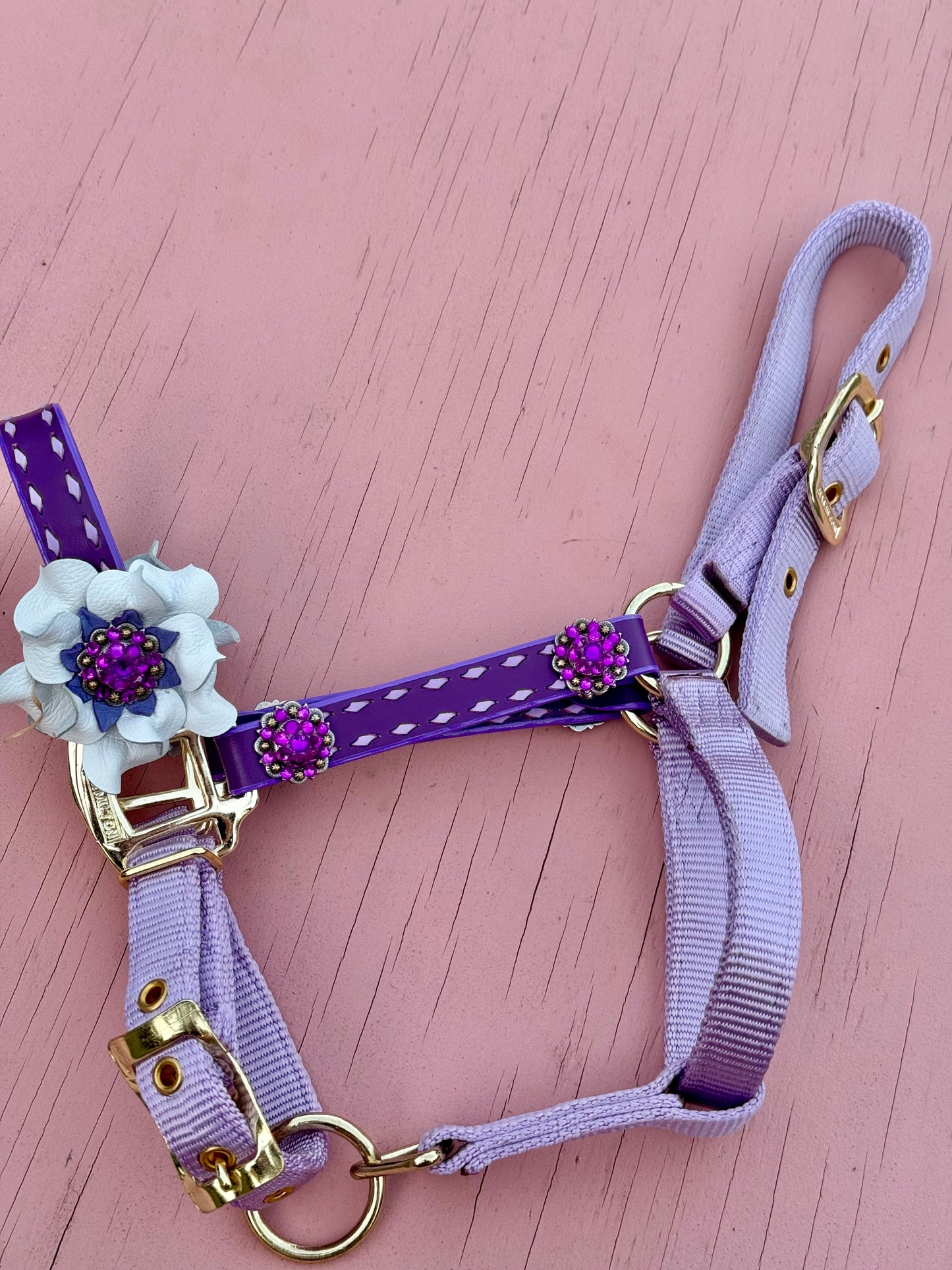 Pony Halters