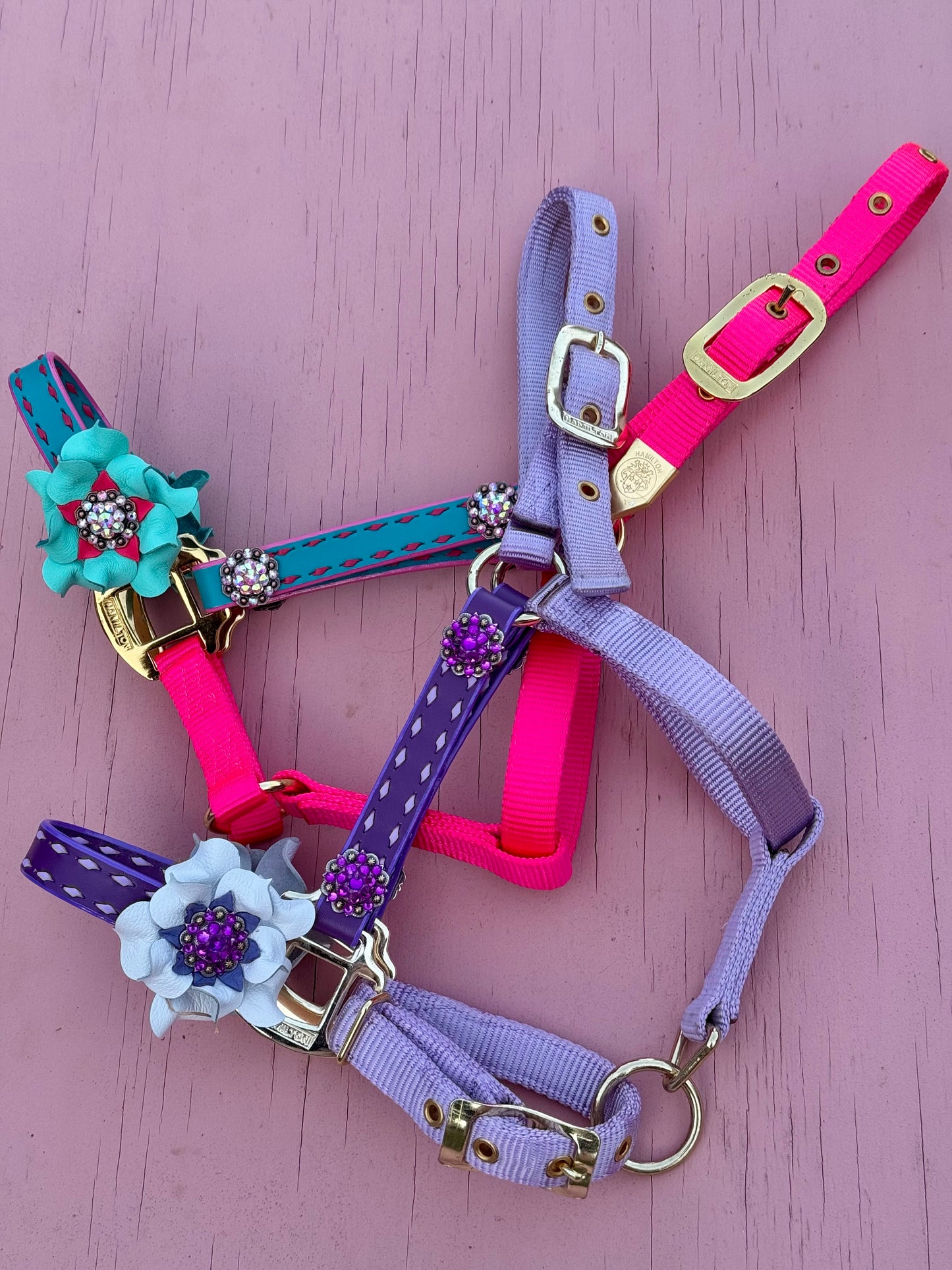 Pony Halters