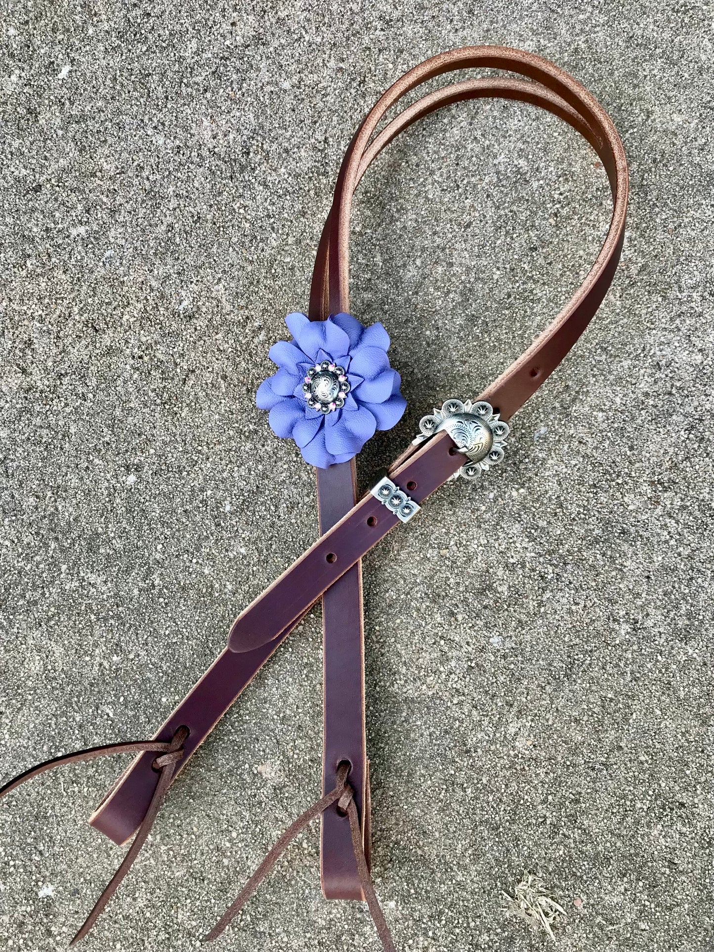Plain Posey Headstalls (21 STYLES)