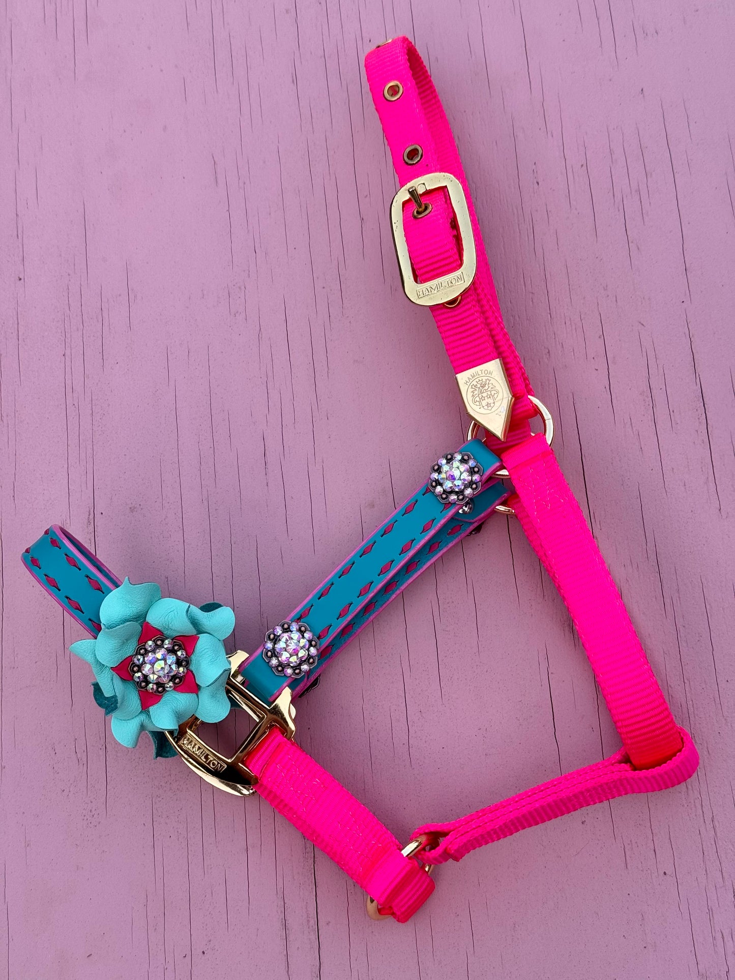 Pony Halters