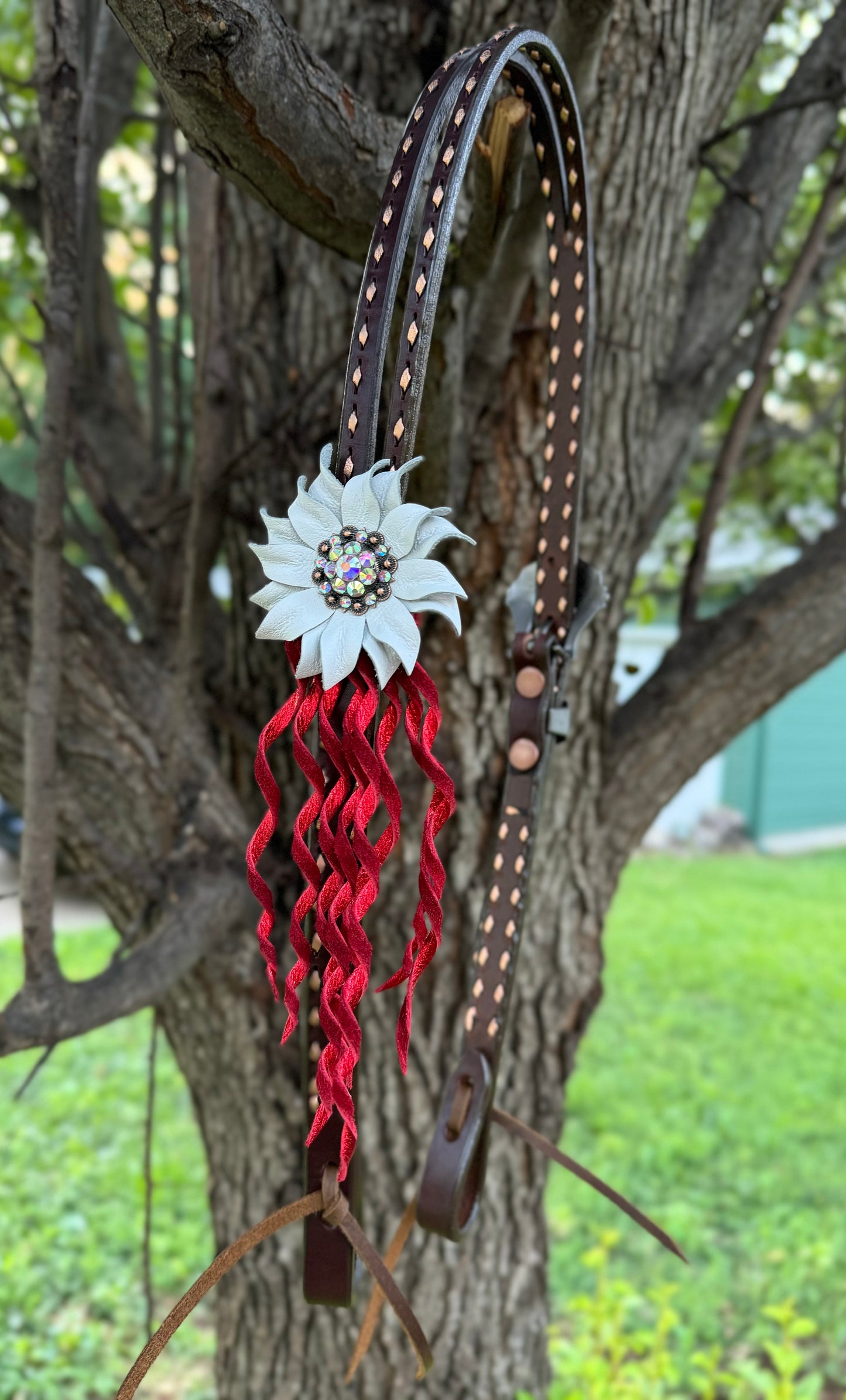 Red Thunderbird Headstall