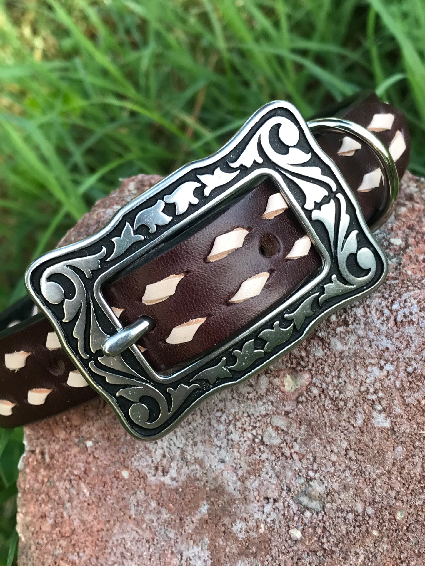 Chocolate Buckstitch Dog Collar