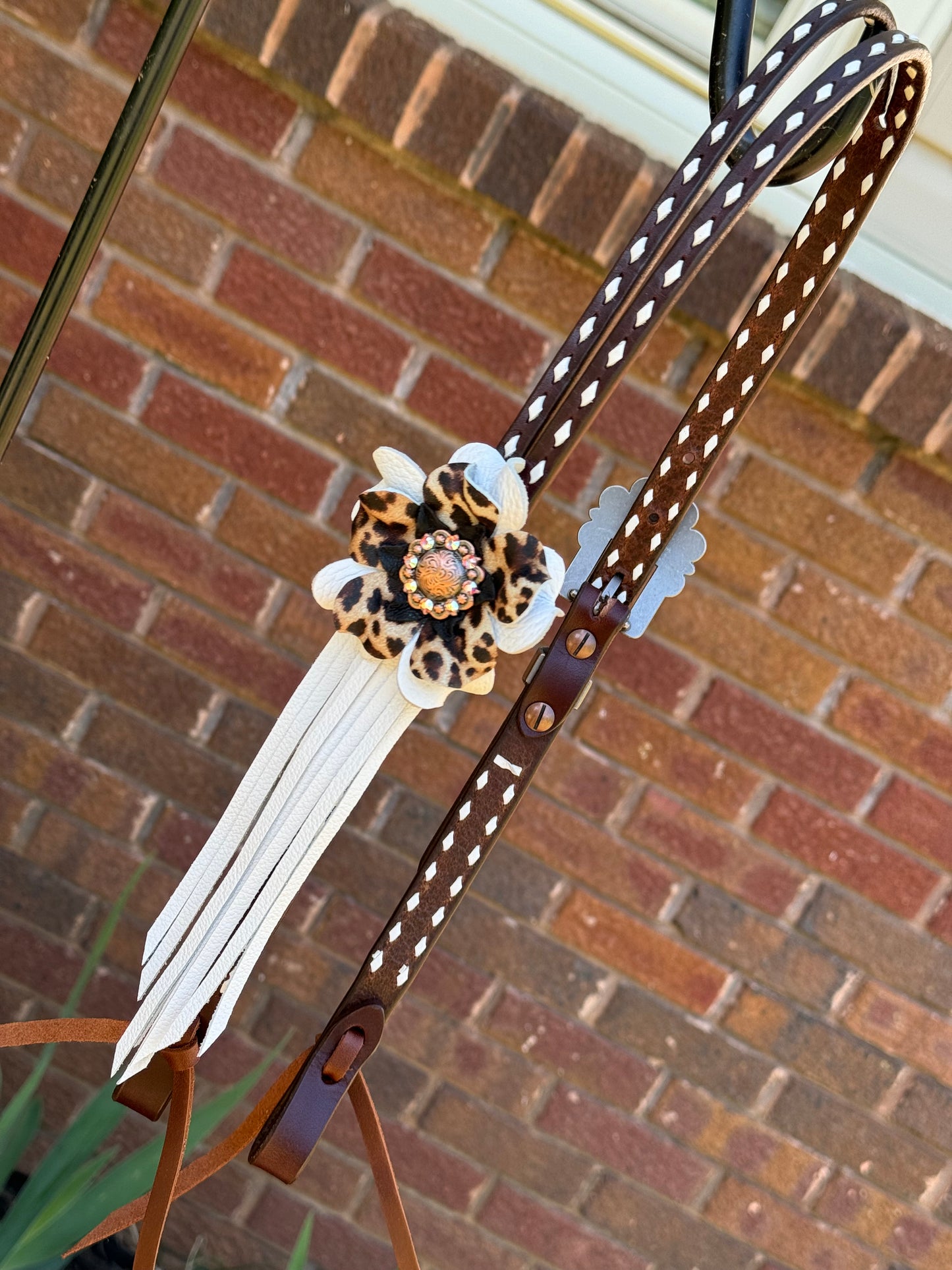 Chocolate + White Cheetah Headstall