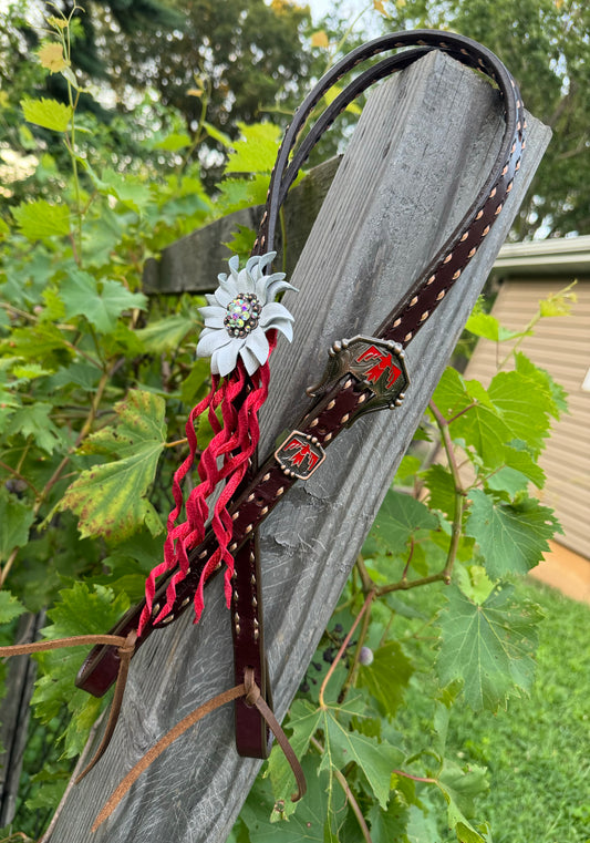 Red Thunderbird Headstall