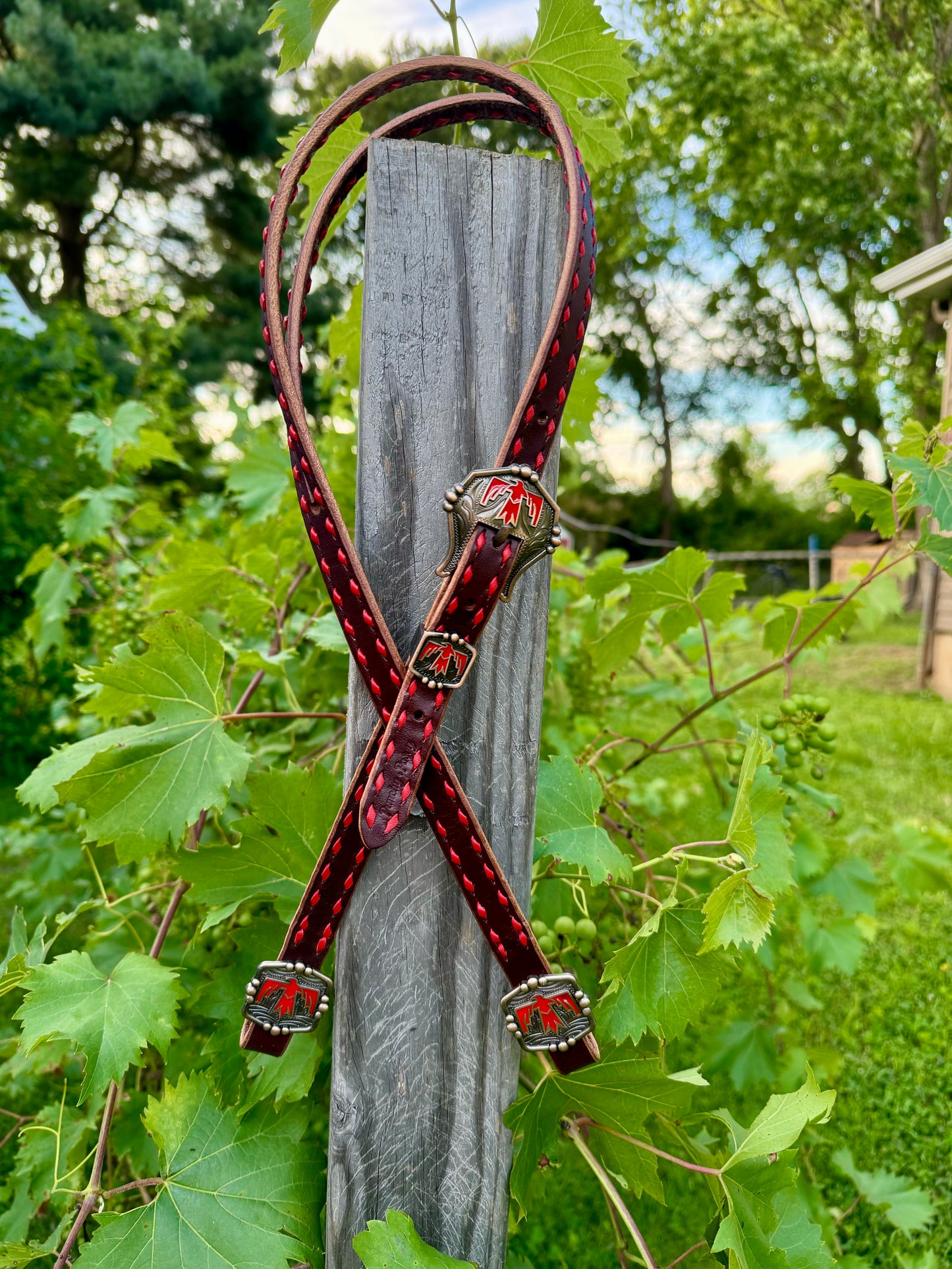 Chocolate & Red Thunderbird Headstall