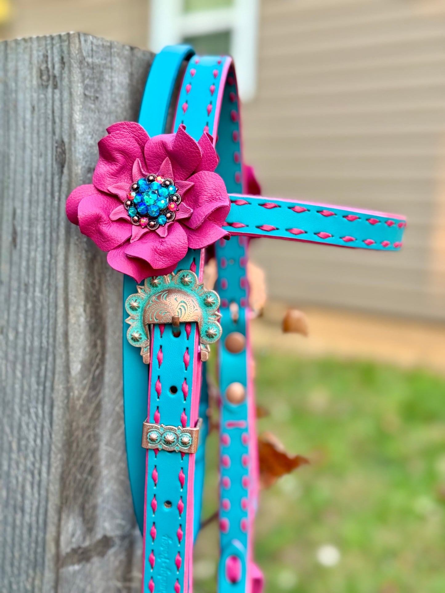 Turquoise & Pink Mini/Pony Set