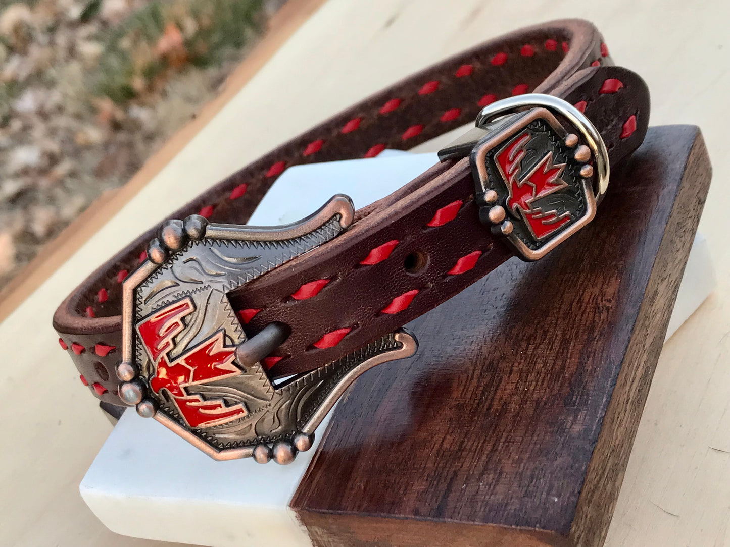 Chocolate Thunderbird Dog Collar