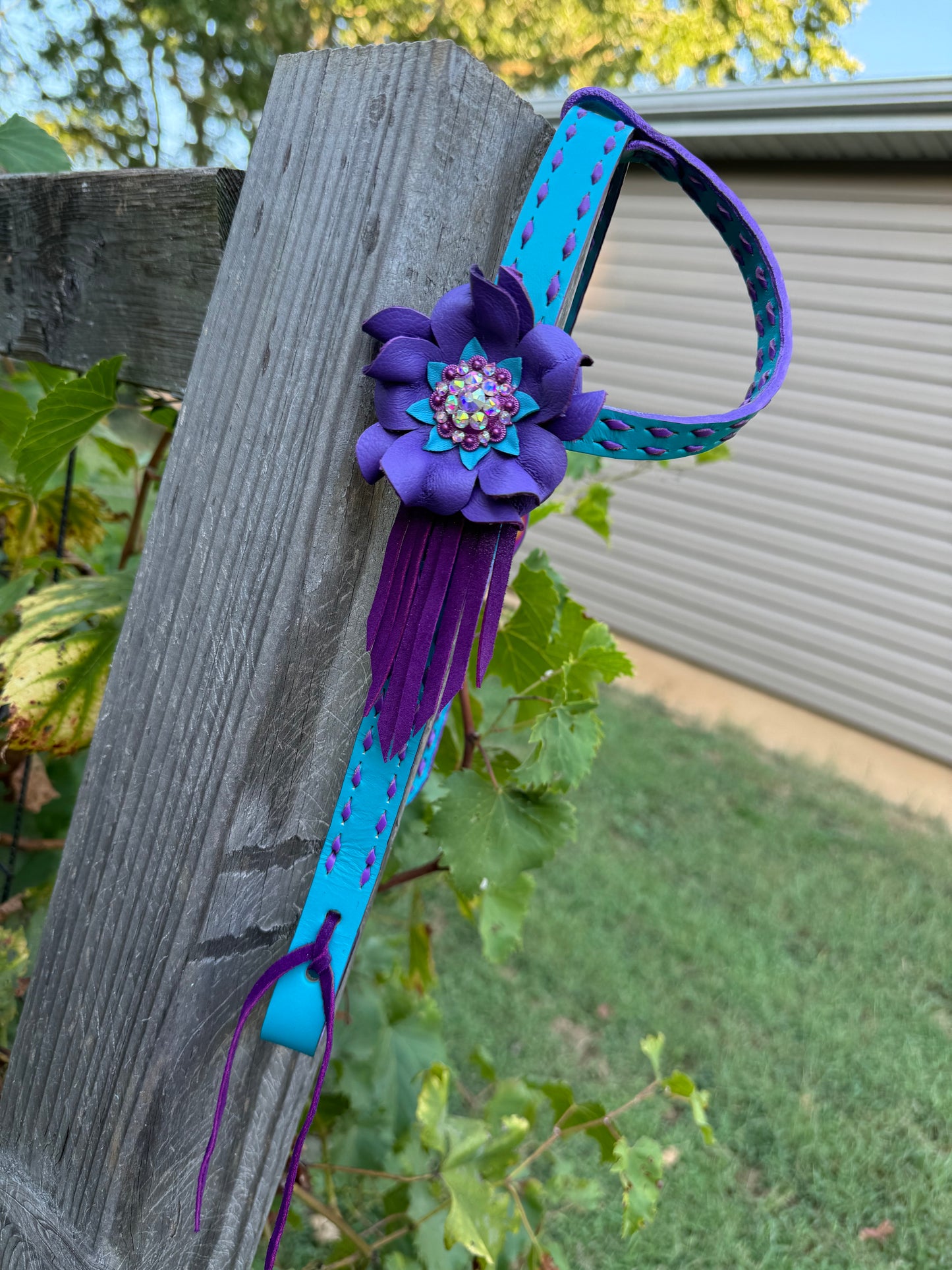 Turquoise/Purple Mini Headstall