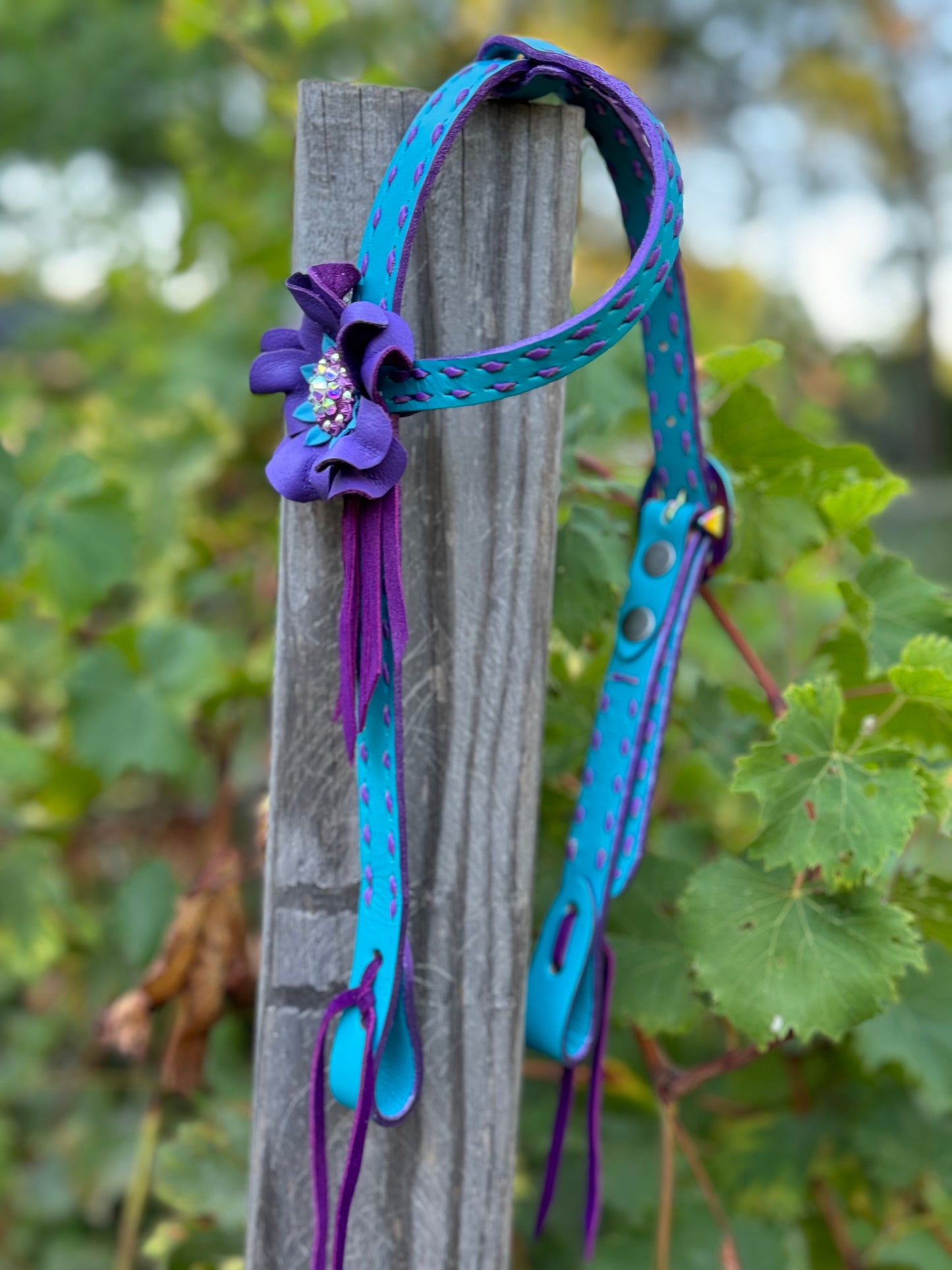 Turquoise/Purple Mini Headstall