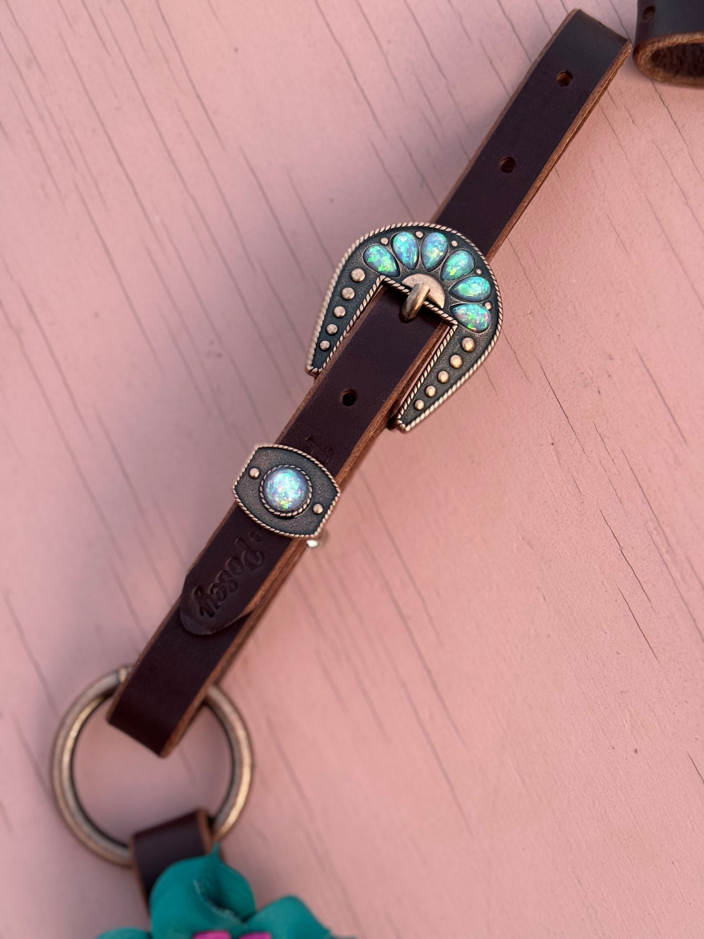 Teal Pink Ring Breast Collar