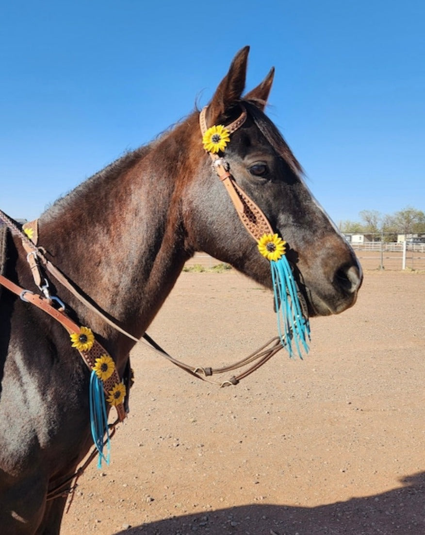 Fringe For Conchos