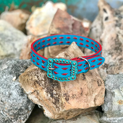 Turquoise Leather Dog Collar with Red Buckstitch