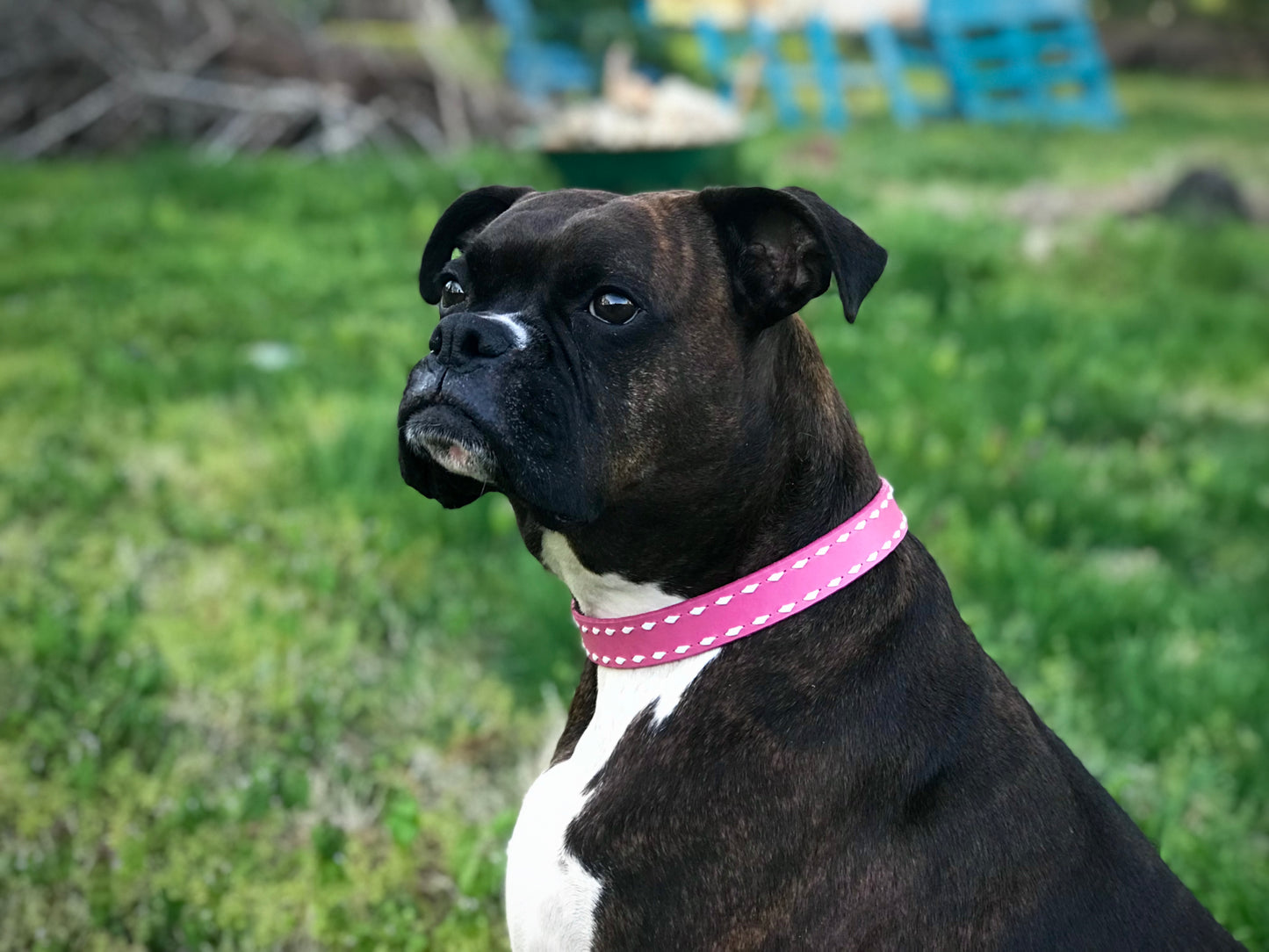 “Barbie Girl” Bubblegum Pink Leather Collar with White Buckstitch