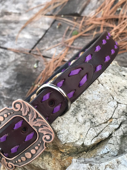 Chocolate Leather Dog Collar with Purple Buckstitch