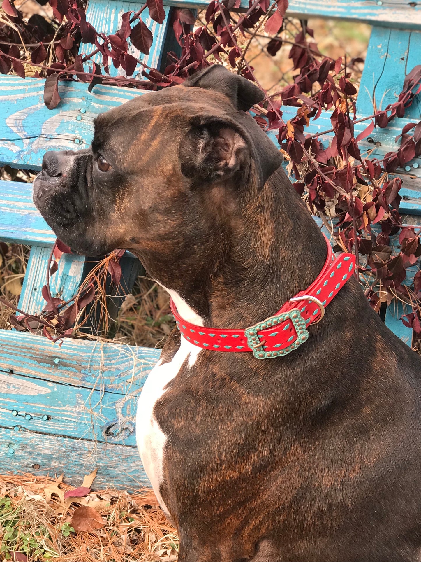 1” Red Leather Dog Collar with Turquoise Buckstitch