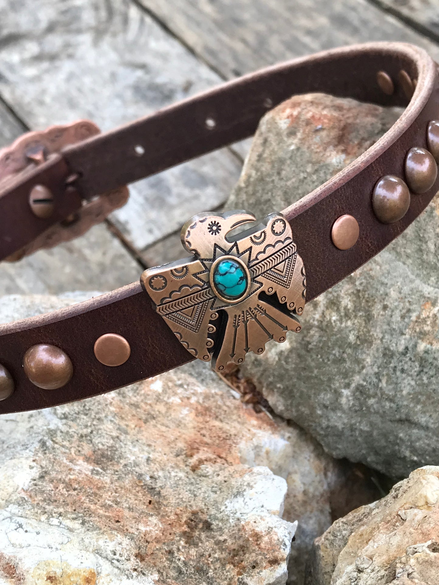 Chocolate Thunderbird Dog Collar