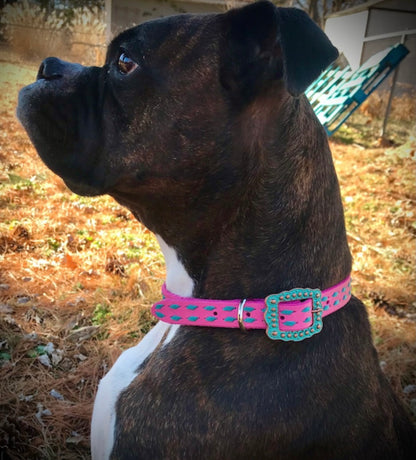 Bubble Gum Pink Buckstitch Collar