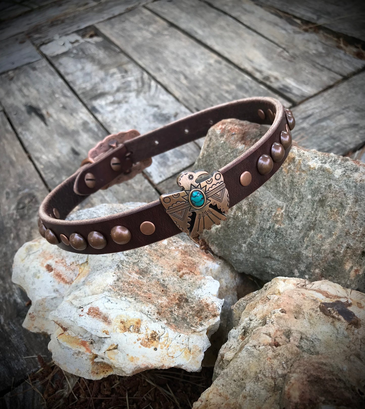 Chocolate Thunderbird Dog Collar