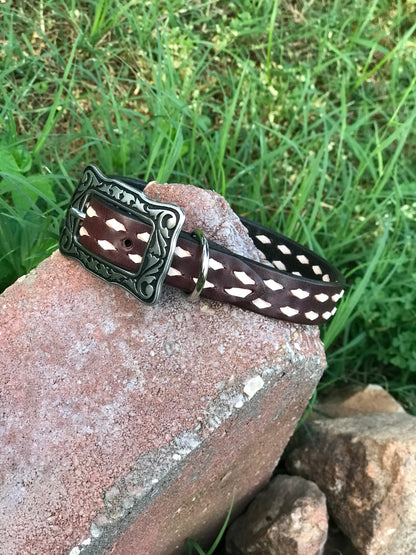 Chocolate Buckstitch Dog Collar